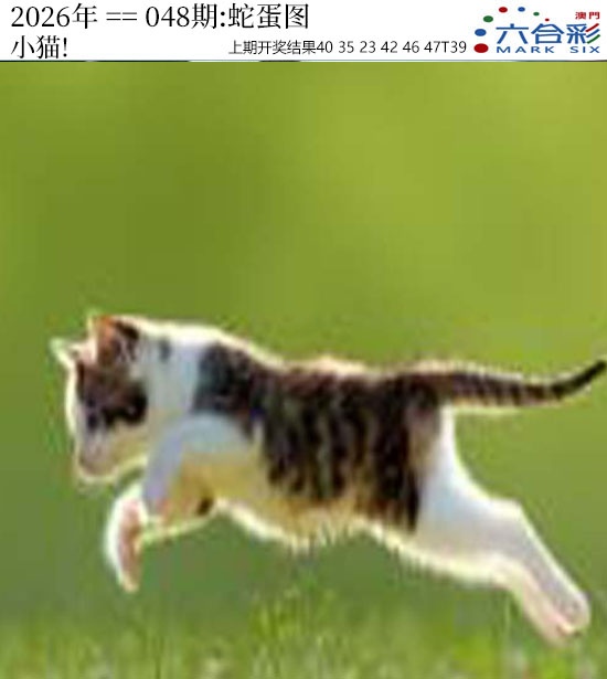 048期正版蛇蛋图[图]