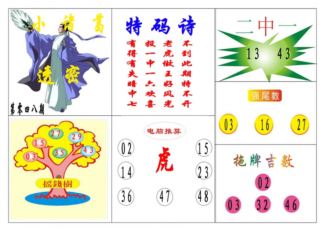 048期小诸葛[图]