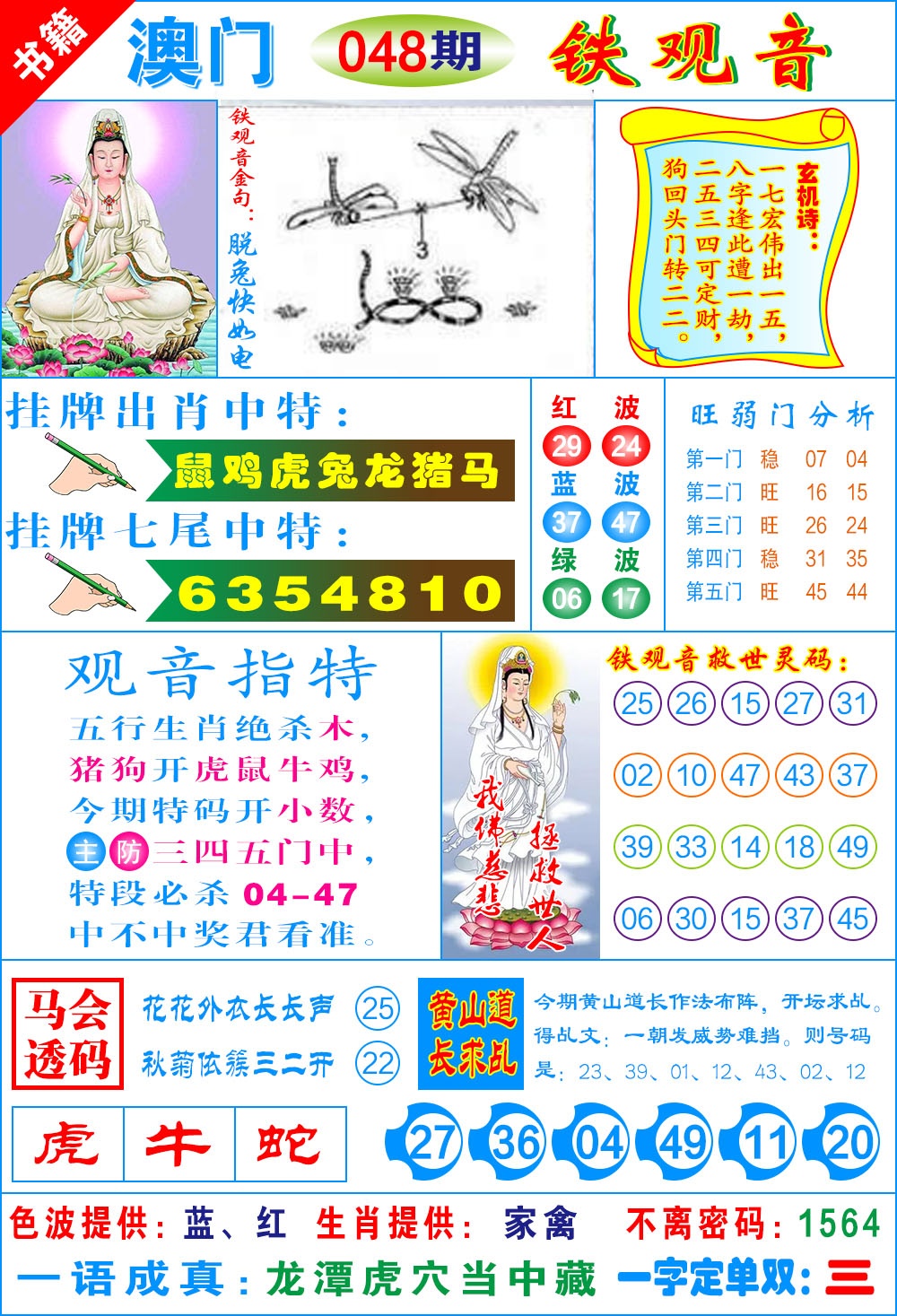 048期澳门铁观音[图]