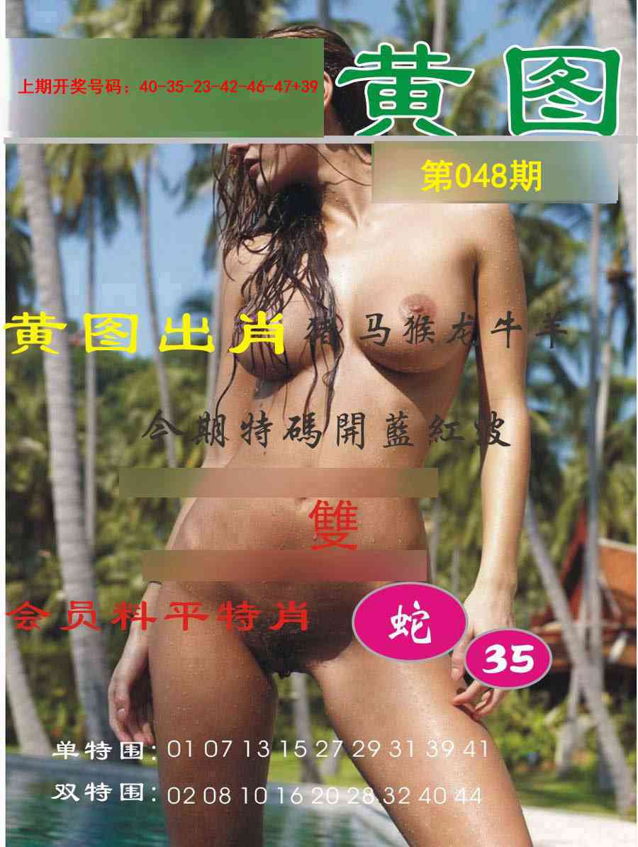 048期黄图[图]
