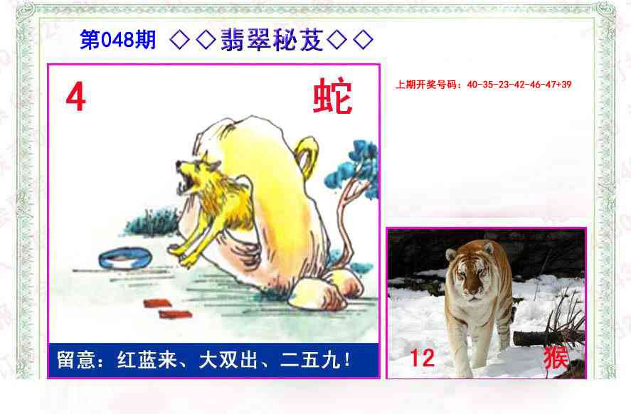 048期翡翠报[图]