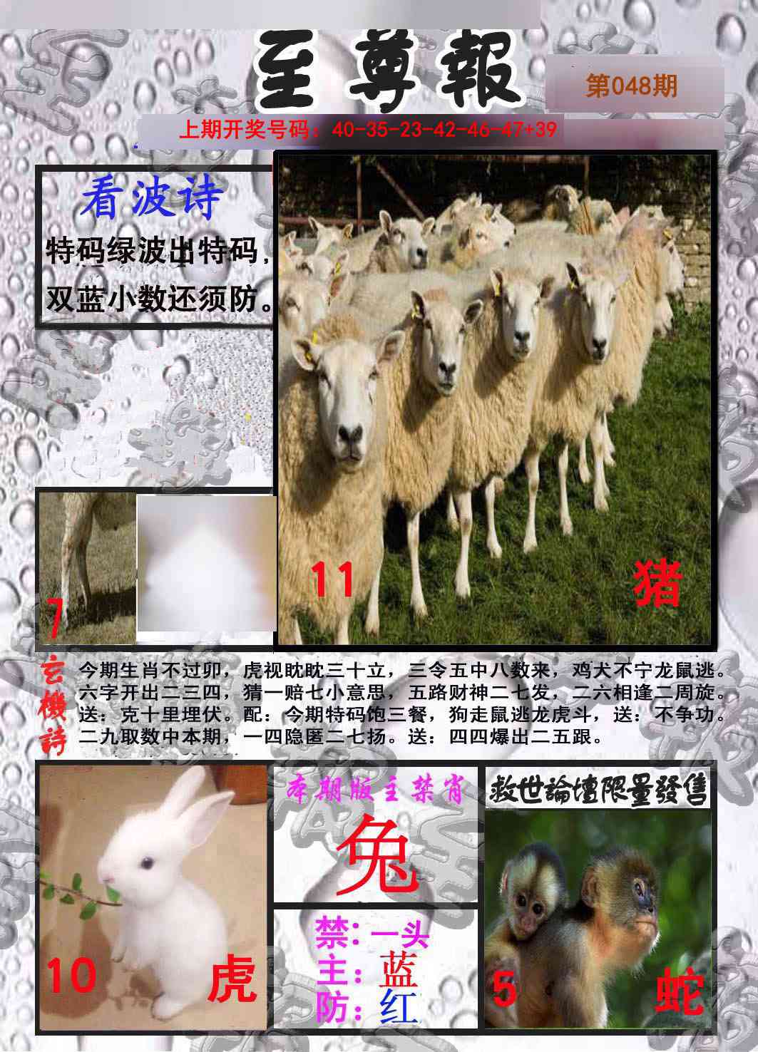 048期至尊报[图]