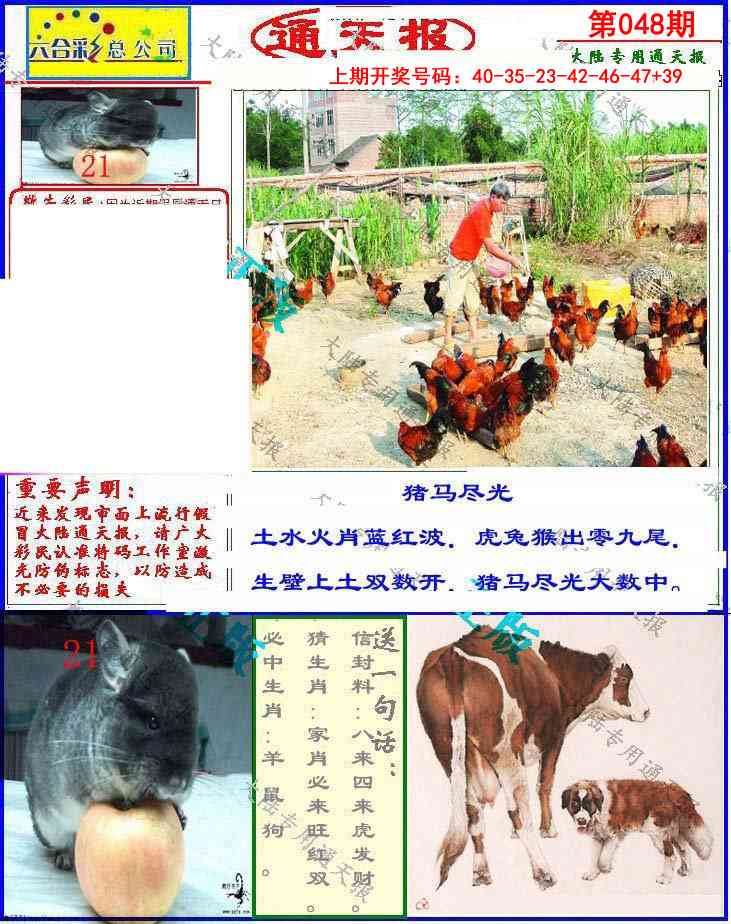 048期大陆通天报[图]