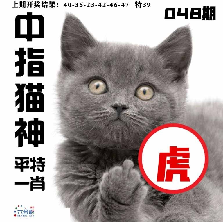 048期中指猫神[图]