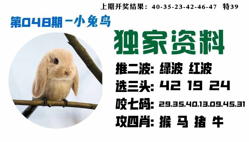 048期小兔鸟[图]